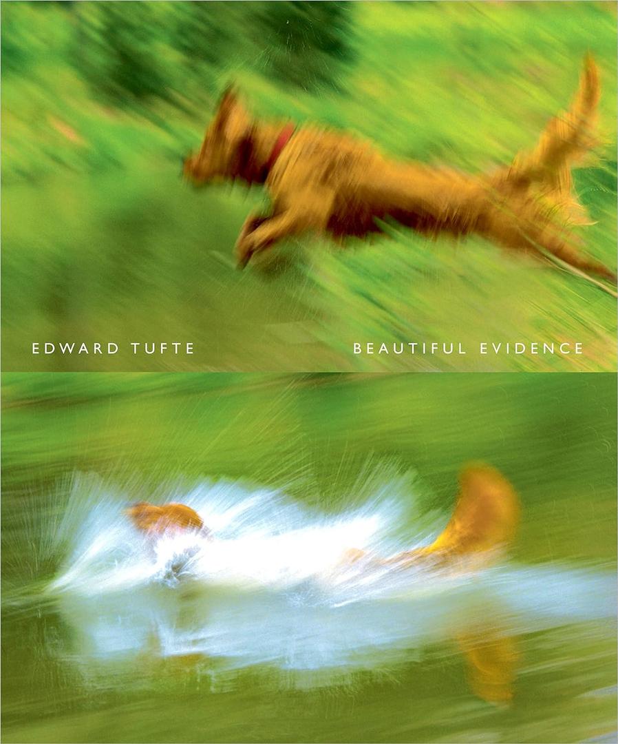 Beautiful Evidence Paperback