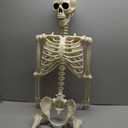 CAMIRUS 5.4ft/165cm Halloween Skeleton, Life Size Skeleton with Hairy Spider Pumpkin Bag, Full Body Human Bones with Movable Joints for Halloween Indoor Outdoor Haunted House Decorations