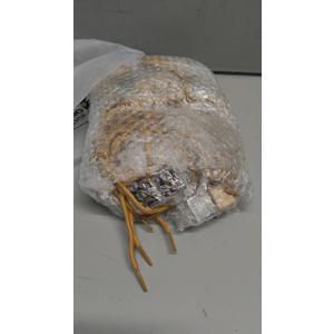 20 Pcs Employee Appreciation Gift Bulk 8ml Car Air Freshener Diffuser Hanging Car Empty Glass Oil Diffuser Christmas Thank You Gifts for Coworker Social Worker