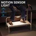 Bed Step Stool for Adults, Bedside Steps for Elderly Seniors with Non-Slip Handle & LED Light, Stable Assist Rail for High Beds