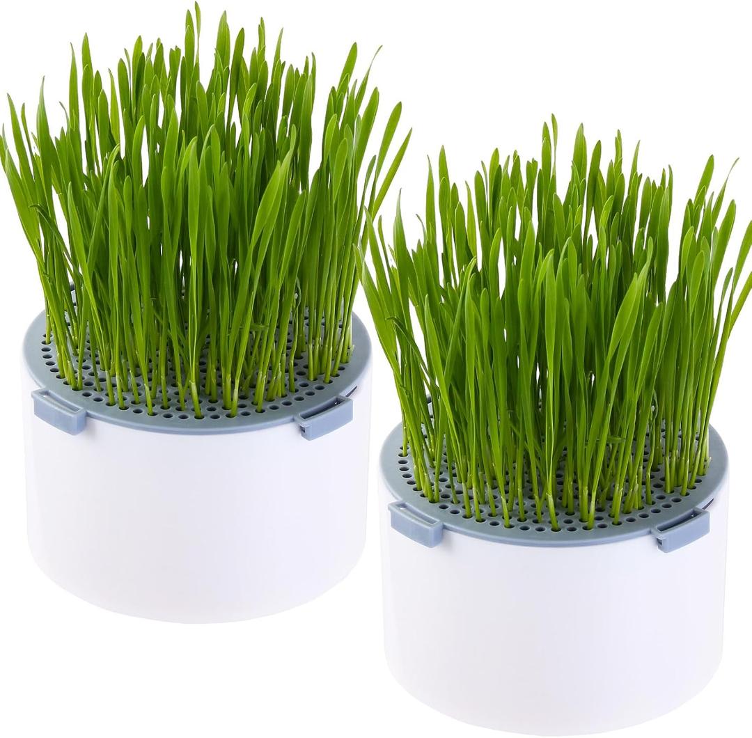 2Pcs Hydroponic Cat Grass Planter (no Seeds Included), Soil Free, Anti Digging, Anti Grass Uprooted, Wheatgrass Growing Kit, Cat Grass for Indoor Cats Pets (2)