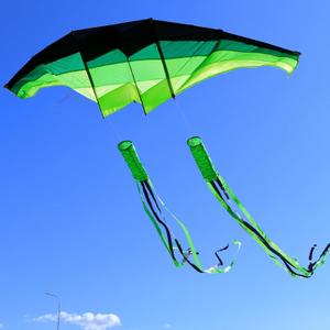Huge 3D Adult Gliders Kite, 120" in Giant Single Line Kites with Two 17ft 3D Tails, Large Beach Kite for Adults