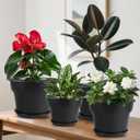 Myfeegoin 10-inch-Plant-Pots-Indoor-Outdoor, 4 Pack Plastic Planters with Drainage Holes & Saucers, Resin Flower Pots with Trays, Classic Garden Pot Container for House