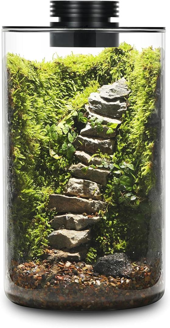 Desktop Glass Plant Terrarium with Grow Light (H:9.8" D:5.9"), for Succulent, Moss, Miniature Gardening Landscape, Betta Fish Tank, Office Home Decoration, Plant Lovers Gifts