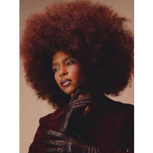 GKtineke Short Afro Wig With Bangs for Black Women 70s Afro Kinky Curly Wig Bouncy Huge Fluffy Puff Wigs Synthetic Hair for Cosplay Daily and Party (Red Brown, 14 Inch)