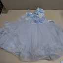 Baby Flower Girl One Shoulder Formal Wedding Dress 6M 9M 1st 2nd 3rd 4th 5t Birthday Cake Smash Outfits Floral Embroidery Toddler Tea Party Pageant Prom Bridesmaid Ball Gown Sky Blue 9-12 Months