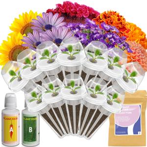Lyko Fragrant Flower Seed Pod Kit for AeroGarden, iDoo, Ahopegarden, GARDENCUBE, 12 Pods with Sunflower, Petunia, Mexican Marigold, Cockscomb, French Marigold, Dahlia, Hydroponics Growing System Kits