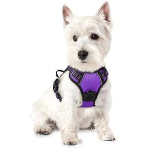 rabbitgoo Dog Harness No Pull with 2 Leash Clips, Adjustable Soft Padded, Reflective Oxford No Choke Pet Vest with Easy Control Handle for Puppy, Purple,XS