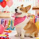 PAPIAMEN Birthday Dog Bandanas Girl,Pink Reflective Dogs Scarfs for Birthday Party Decorations Supplies for Dogs Pet Accessories,Cat Dogs Triangle Pet Scarves for Large Dogs Outfit,L