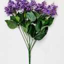 20" Purple Lilac Bush