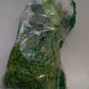 Hananona 12 Pcs Artificial Chrysanthemums Flowers Ball Flower, Fake Mums Flowers Green Silk Flowers for Home Decor Indoor Floral Arrangement St Patricks Day Table Centerpiece (12, Green)