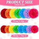EASY JOY 15 Pcs Multicolor Tissue Paper Flowers Rainbow Hanging Paper Pom Pom Decorations Tissue Pom Poms for Birthday Fiesta Mexican Party Classroom Home Wall Ceiling Wedding Baby Shower DIY Arts