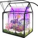 Plant Terrarium Kit with Grow Light, Rifny Large Glass Terrarium Jar with Absorbent Mat and Lid for Venus Fly Trap Succulent Live Air Plants Indoor Home Office Decor (Black, 8.9 x 5.9 x 9.9 inch)