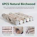6 Pack Birch Logs Decorative Natural Birch Log for Decoration,Crafts,DIY,White Birch Logs for Fireplace Decor Firewood(Logs:1.4"-2.6" Dia. x 16.5" Length)