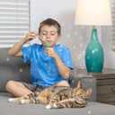 3 x Pet Qwerks Incredibubbles Interactive Cat Toys - Long Lasting Edible Bubbles for Cats - Catnip Flavor - 20 ML