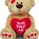 14 Inch I Love You Teddy Bear, Plush Valentines Stuffed Animal with Red Heart Pillow, Sweet Valentines Gift for Her Him Kids Mom Anniversary Birthday