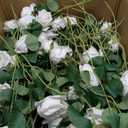 Zeyune 50pcs Artificial Peonies, 4inch White Silk Peony Flowers Heads for Decoration, Wedding, Party, Home Office