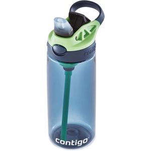 Contigo Kids Straw Water Bottle with AUTOSPOUT Lid 20oz Blueberry (20oz (Pack of 1))
