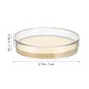 SHINEOFI 10pcs Nutrient Agar Petri Dishes, 7cm Pre-Poured Agar Plates for Laboratory Use School Projects and Research Science Experiment Prepoured Supplies