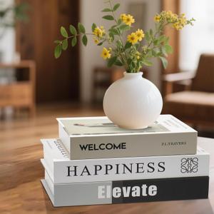 Decorative Books - Set of 3 Fake Books with Hidden Storage, Faux Book for Coffee Table, Bookshelf & Home Decor, Modern Office Decor Book for Organizing & Gift Ideas