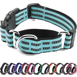 Hikiko Martingale Dog Collars Reflective Nylon Dog Collar with Quick Release Buckle Adjustable Training No Slip Dog Collar (Medium, Sky Blue)
