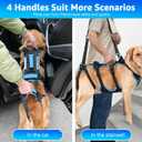 Dog Lift Harness for Large Male Dogs, 2-in-1, Back Leg Support & Mobility Assistance for Senior Dogs, Post-Surgery Recovery Sling(Black, Large)