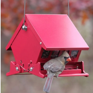 Audubon 7458 4 Lb Capacity Squirrel Proof Bird Feeder
