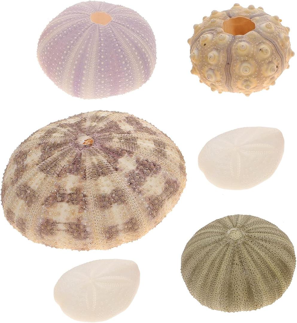 DOITOOL 6 Pack Natural Sea Urchins Shells Decor, Sea Urchin Shells for Craft and Home Decor, , Sea Theme Party, Assorted Colors