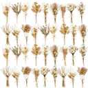 10/12/24/36 Pack Mini Dried Flowers for Vase Wedding Various Mini Bouquet Dried Small Wildflowers Natural Flowers Bulk for Crafts DIY Decor (36, Plain Colour)