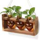 Plant Terrarium Propagation Stations Faith Hope Love Hydroponics Home Garden Decoration Gift for Women with Wooden Stand Heart Shaped Colored Glass Vase (Amber(faith Hope Love))