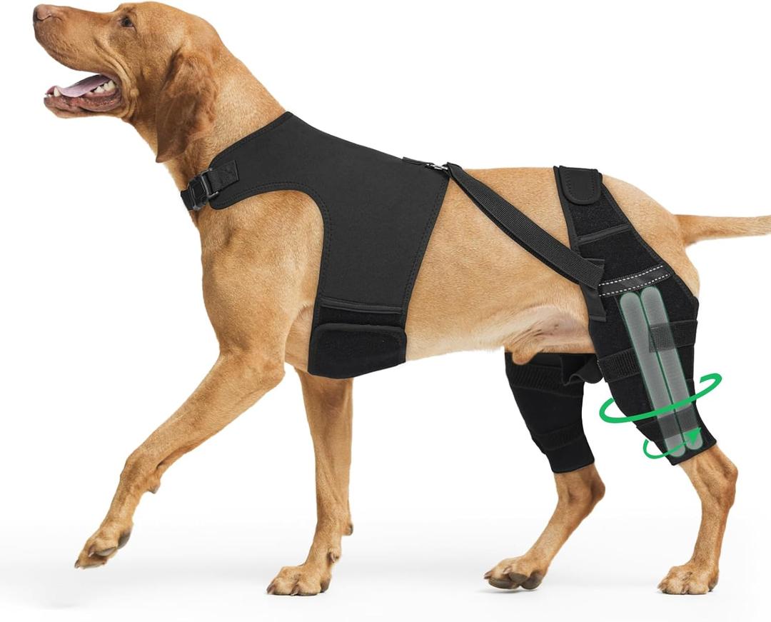 Dog Knee Brace for Torn ACL Hind Leg - Orthopedic Rear Leg Wrap with 2 Metal Stabilizers and Vest for Support, for Small Medium Large Dogs, for Arthritis, Luxating Patella, and Joint Injury Recovery