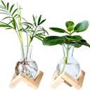 Propagation Stations, Propagation vases with Wooden Stand, Small Tabletop Glass Bulb Vases for Hydroponics Plant Propagation Station Home Office Decoration, Gift for Women Plant Lovers (2)