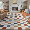 Checkered Rug 8x10 for Living Room, Modern Rainbow Shag Rug Washable Non-Slip Large Area Rug Super Soft Indoor Fuzzy Carpet Fluffy Rugs for Bedroom Home Aesthetic Decor (8' x 10' (Rectangular))