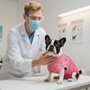 Kuoser Dog Surgery Suit, Comfy Dog Recovery Suit Female Doggie Onesie for Surgery, Post Op Protective Onesie, Soft E-Collar Alternative for Cats & Puppies, PinkRibbon XS