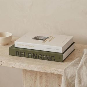 Beautiful Decorative Books - Set of 2 Boxes Enhance Your Coffee Table, Bookshelf or Mantel Shelf Decor - Aesthetic Fake/Faux Books for Modern Home Decoration, Photo Storage and as a Keepsake Box