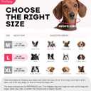 Inflatable Dog Cone Collar with Detachable Sturdy Shield,Soft&Lightweight-Ideal for Post-Surgery Recovery and Daily Wear,Suitable for Small Medium Large Dog Breeds(Donut Pink,L)