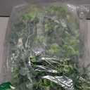 DearHouse Faux Eucalyptus Garland Plant, 2 Pack Artificial Vines Hanging Eucalyptus Leaves Greenery Garland for Wedding Backdrop Arch Wall Decor, 6 Feet/pcs UV Protected Indoor Outdoor