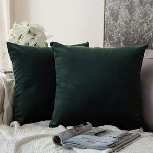 MIULEE Pack of 2 Velvet Soft Solid Decorative Square Throw Pillow Covers Set Christmas Cushion Case for Spring Sofa Bedroom Car 20x20 Inch 50x50 cm 