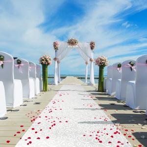 Thickened Aisle Runner for Wedding CeremonyFeet White Aisle Runner Walkway for Indoor Outdoor Wedding Church Decorations Halloween Parties can Also use a Carpet50g(Vine, 3x50Feet)
