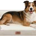 Comfort Expression Orthopedic Dog Bed for Large Dogs 38x25 Inch, Waterproof Supportive Egg Crate Foam Large Pet Bed with Removable Bolsters, Dog Couch with Washable Cover & Non-Slip Bottom, Beige