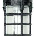 Woods L1706BLK Vandal Resistant 150W Incandescent Security Light, Ceiling Mount, Hammered Black (9.5" x 4.5" x 4.5")
