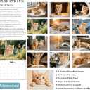 4 x 2026 Wall Calendar,Calendar 2026, January 2026 - December 2026, Wall Calendar Cat Kitten, 11" X 17" Opened,Full Page Months Thick & Sturdy Paper for Calendar Organizing & Planning