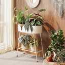 Bamworld Plant Stand Outdoor Large Plant Shelf Indoor for Tall Plants Table Metal 2 Tier Plant Bench Display Stand for Living Room Balcony Patio Decor White