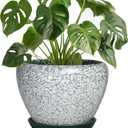 Ceramic Flower Pots, 8 Inch Pots for Plants Indoor, Crackle Green | Round Plant Pot Indoor with Drainage Hole and Saucer, Modern Decorative Planter, Bedroom Decor, Gardening Gifts