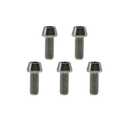 RISON Titanium Bolts Ti Bolt M5*0.8 * 10 Hex Tapered Socket Head 5Pcs Original Titanium Hex Tapered Head Bolt Screw for Bike stem