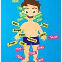 WATINC 35Pcs Body Parts Learning Felt Story Board Set Preschool Human Organ Educational Teaching Storytelling Early Learning Interactive Play Kit Wall Hanging Gift for Toddlers Kids 41 x 30 Inch (Fair Skin)