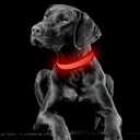 YFbrite Light up Dog Collar, USB Rechargeable LED Puppy Collar Super Bright Adjustable Glowing Dog Lights for Night Walking (Red, Medium)