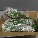 Sukh 30 Babys Breath Artificial Flowers - White Fake Flowers Baby's Breath Gypsophila Realistic Bouquet Flores Artificiales para Decoracion Plants for Wedding Table Centerpieces, Home Decoration