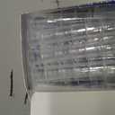 Veterinary Blood Collection Needle 21g Winged Luer Sets 50pcs