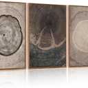 CHDITB Tree Ring Wall Art Set of 3, 24"x36" Large Modern Wood Stump Wall Decor, Abstract Black and White Wall Painting, Neutral Nature Art Print for Living Room, Bedroom, Office, Dinning Room